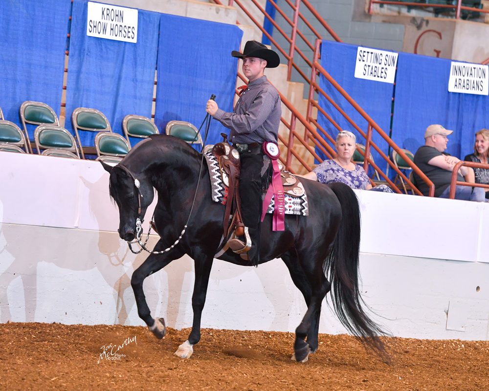 White Rocks Western Riding Rda RDA Midnight Blue – Region 12 Spotlight Futurity