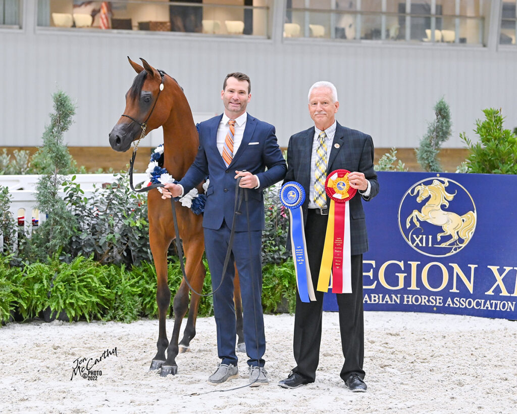 2022 Spotlight Winners Region 12 Spotlight Futurity